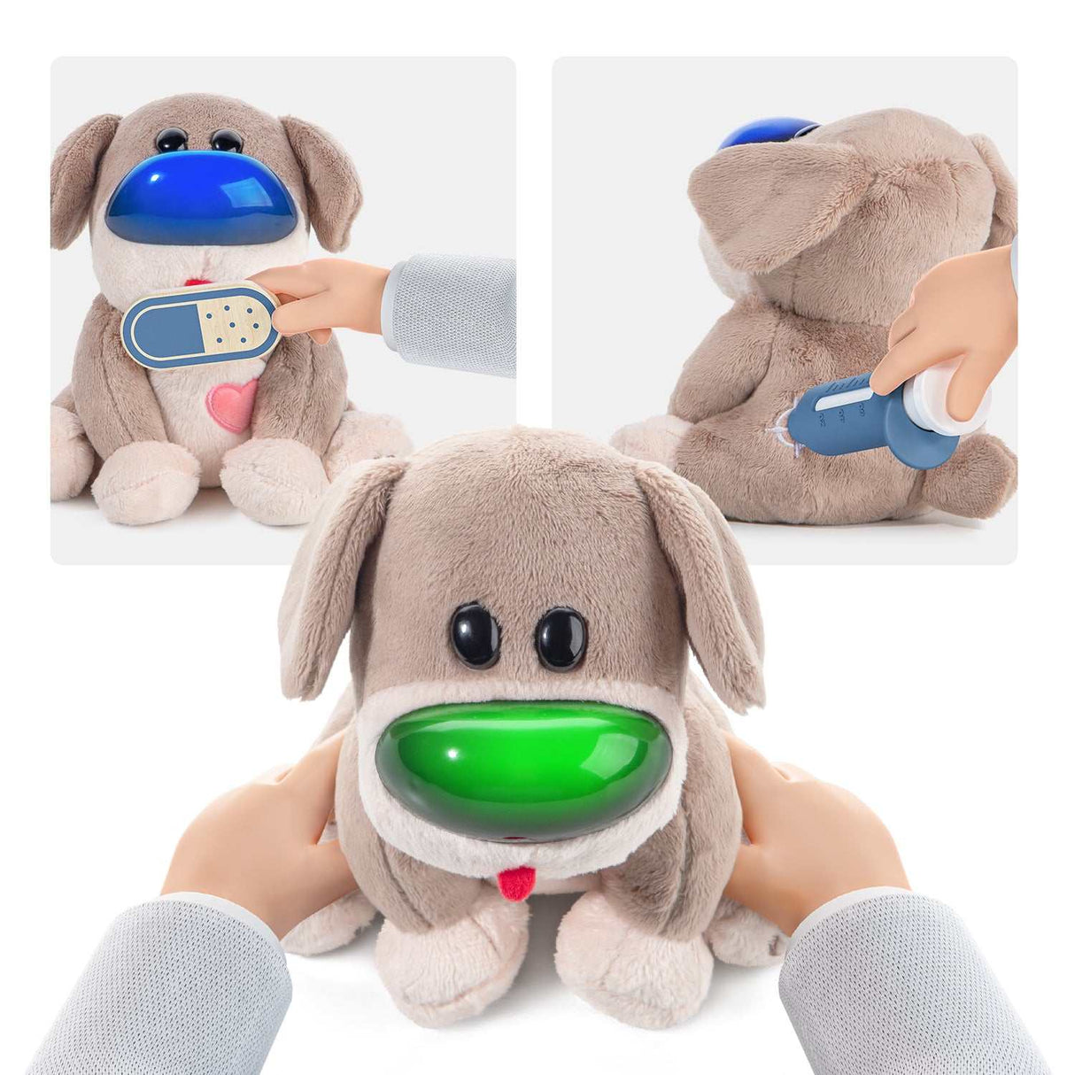 Haustier Dr. Dog