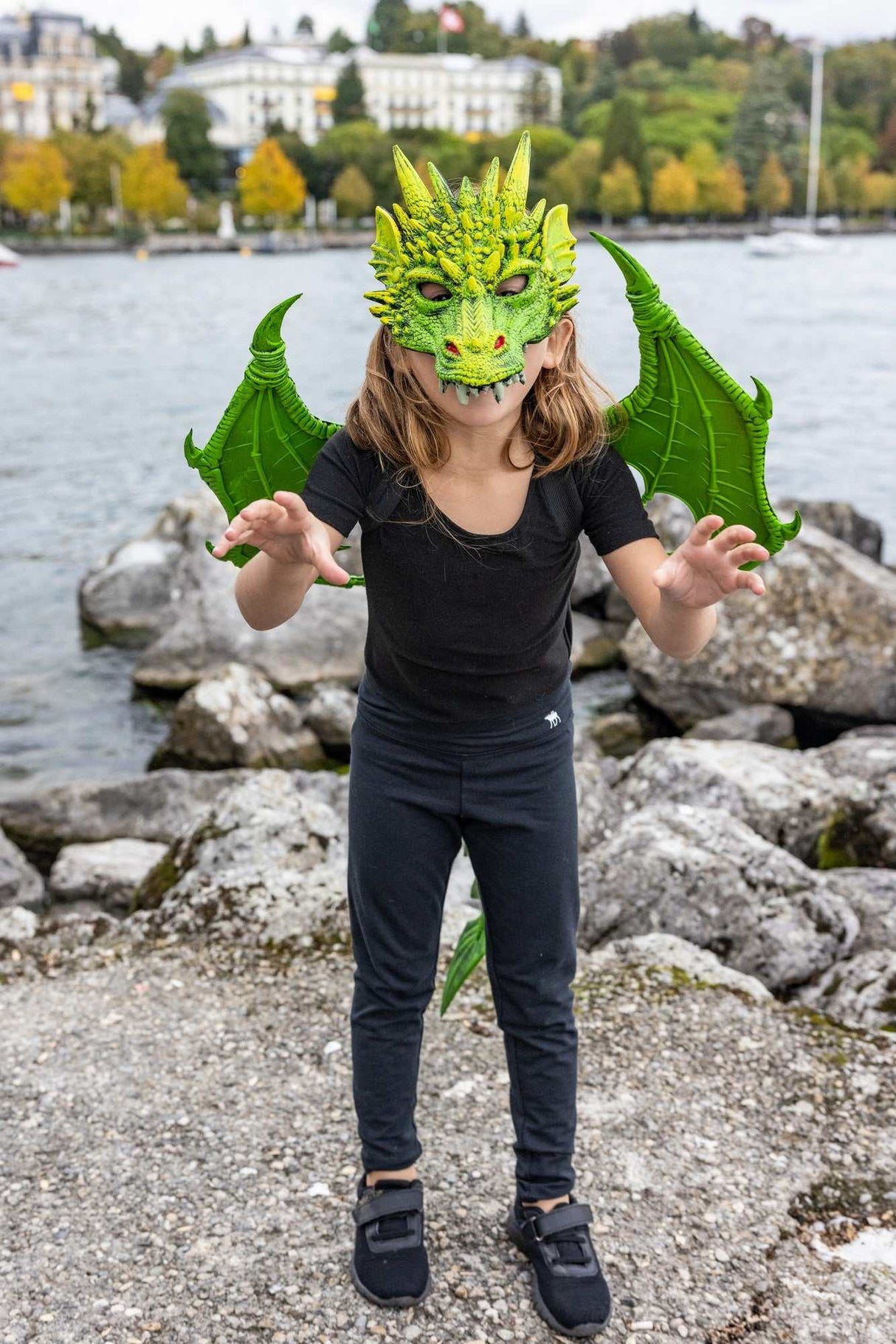 Drachenflügel
