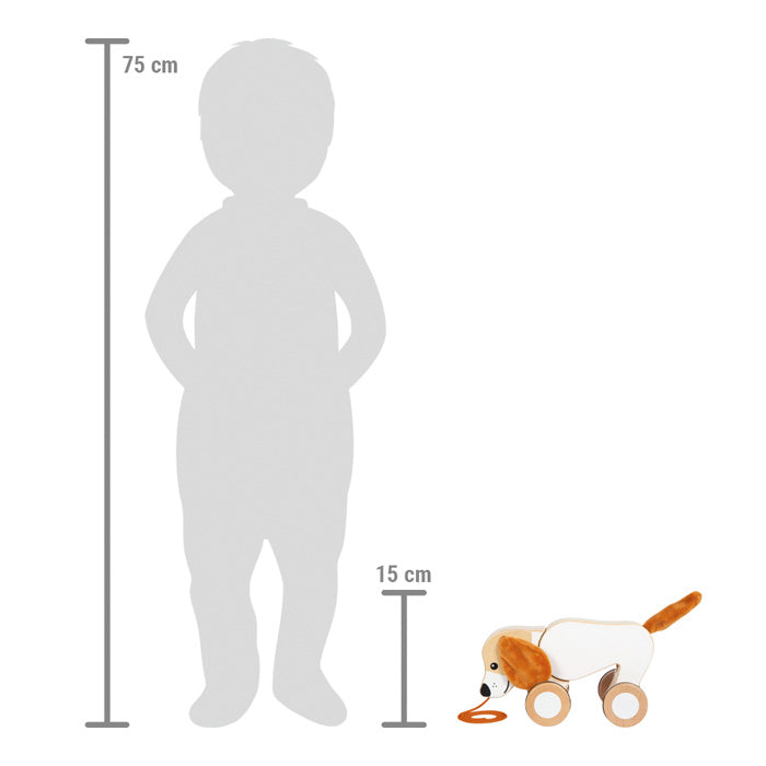 Nachziehtier Hund mit Knisterohren