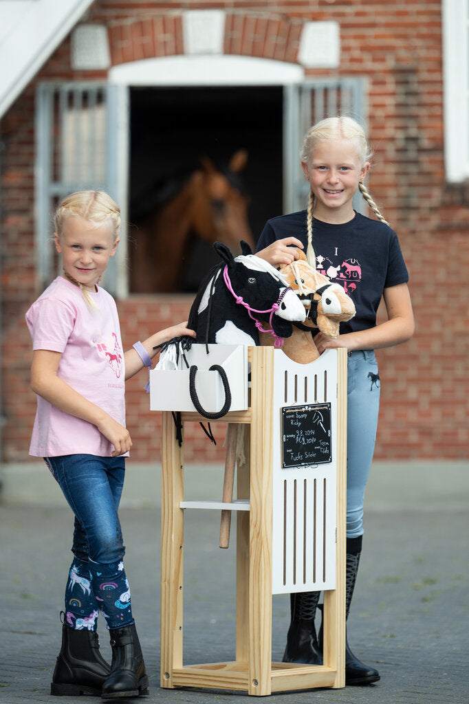 Hobby Horsing- Stall