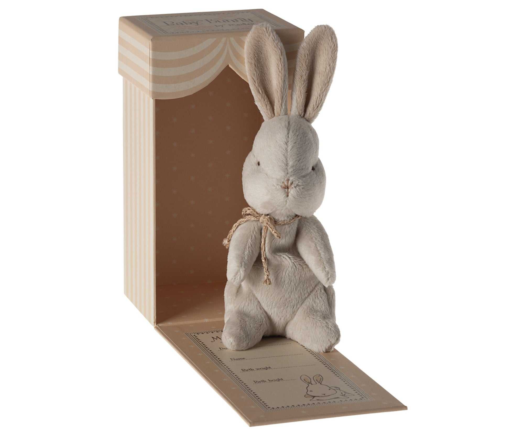 Mein erster Hase/ Off white