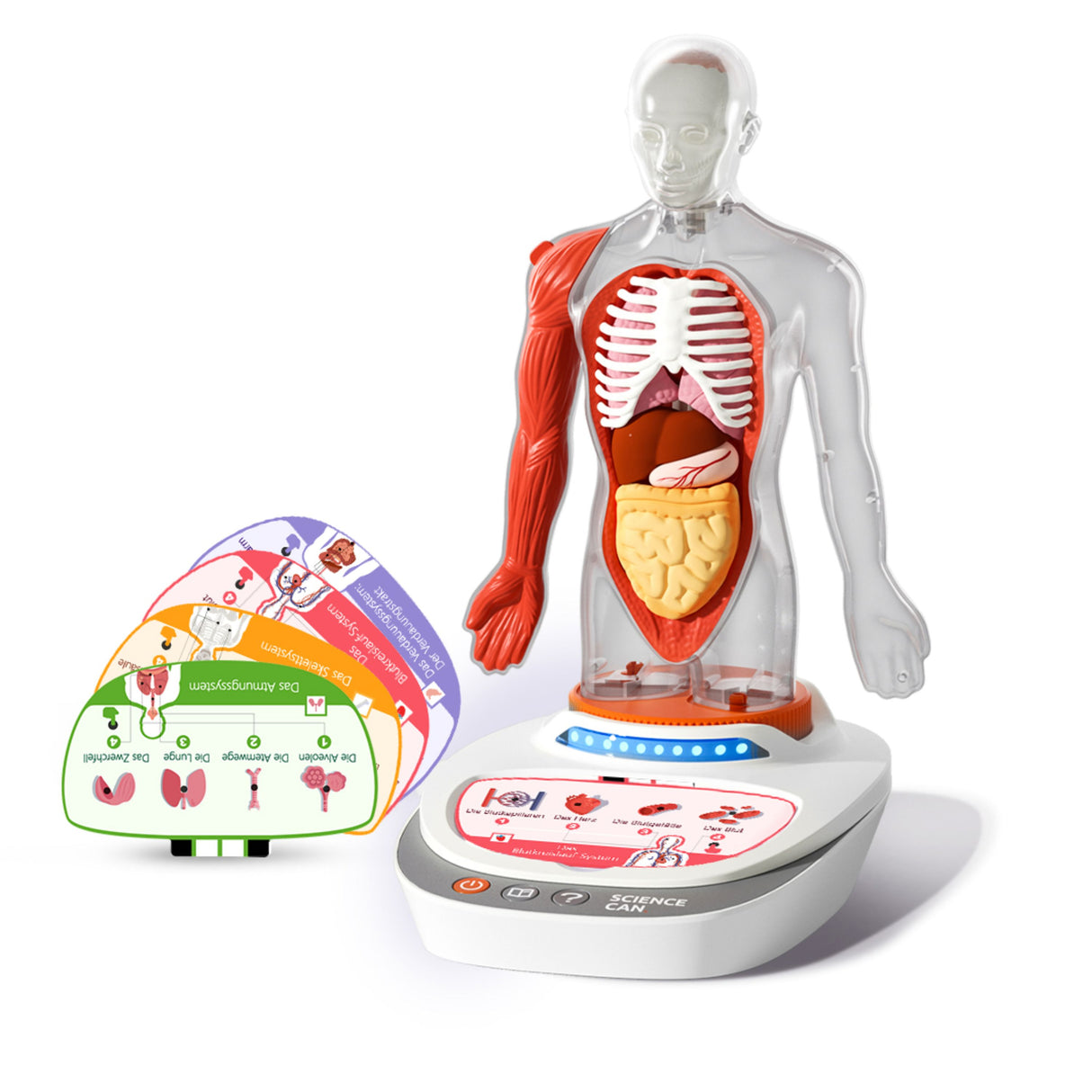 Mein Körper - eine Wissensreise mit Quiz und Sound