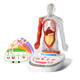 Mein Körper - eine Wissensreise mit Quiz und Sound