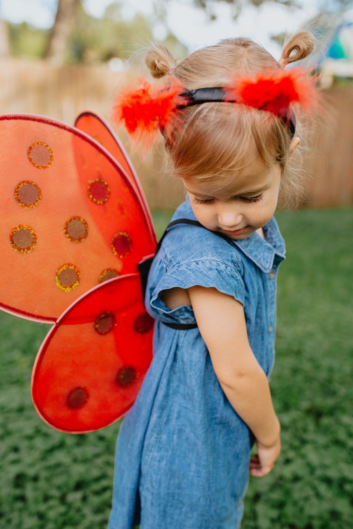 Marienkäferflügel & Haarreif