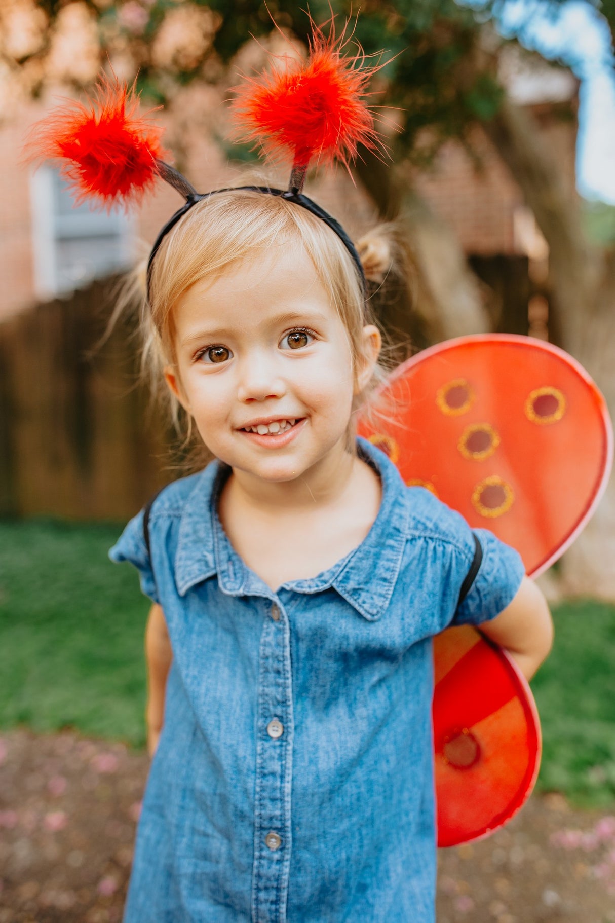 Marienkäferflügel & Haarreif