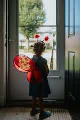 Marienkäferflügel & Haarreif