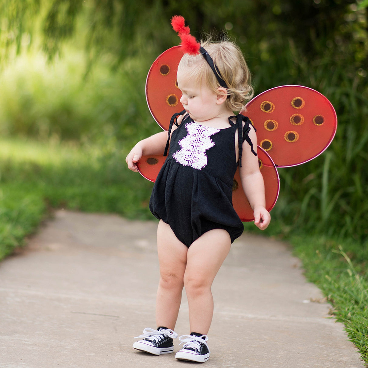 Marienkäferflügel & Haarreif