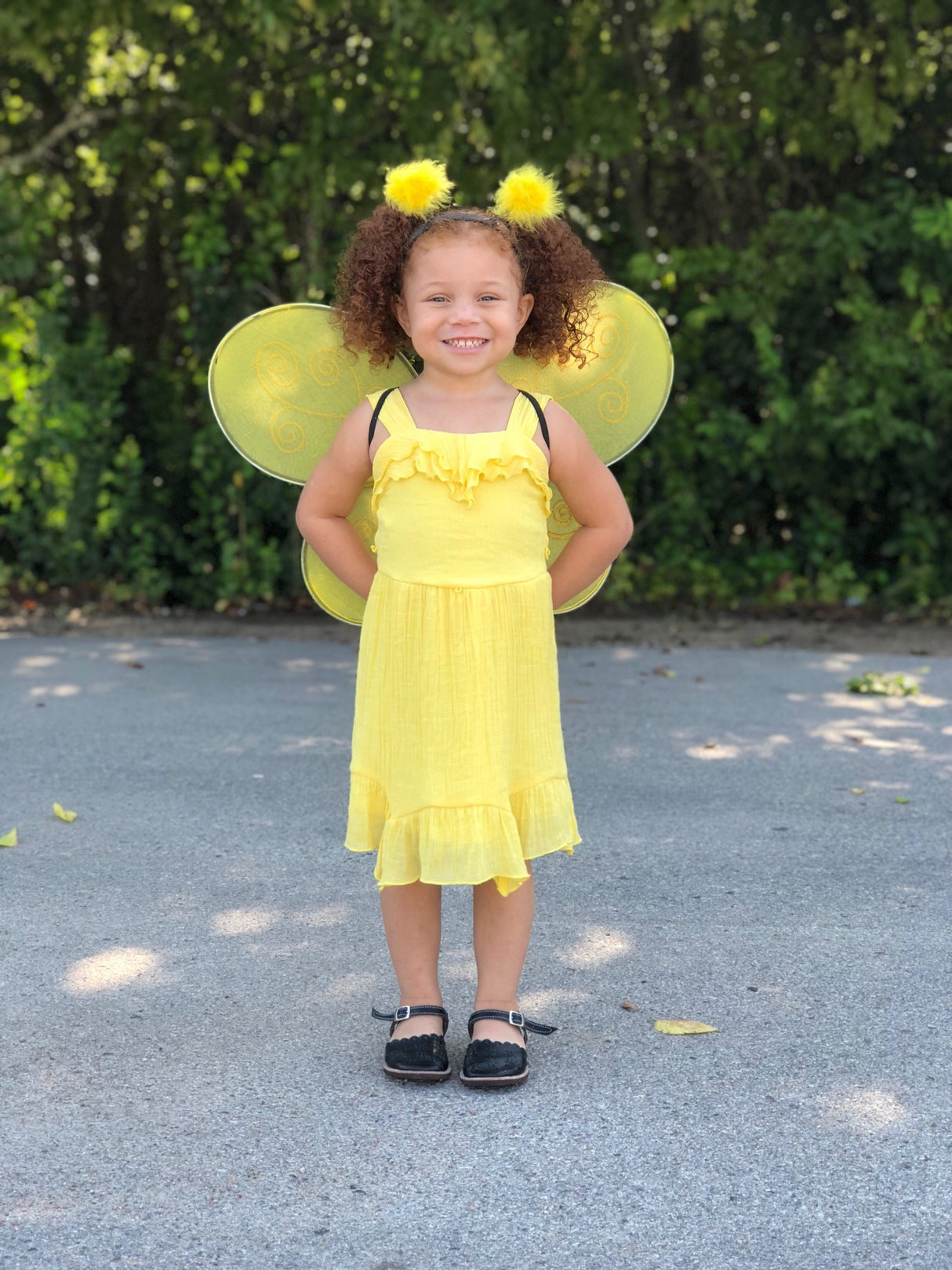 Bienenflügel & Haarreif