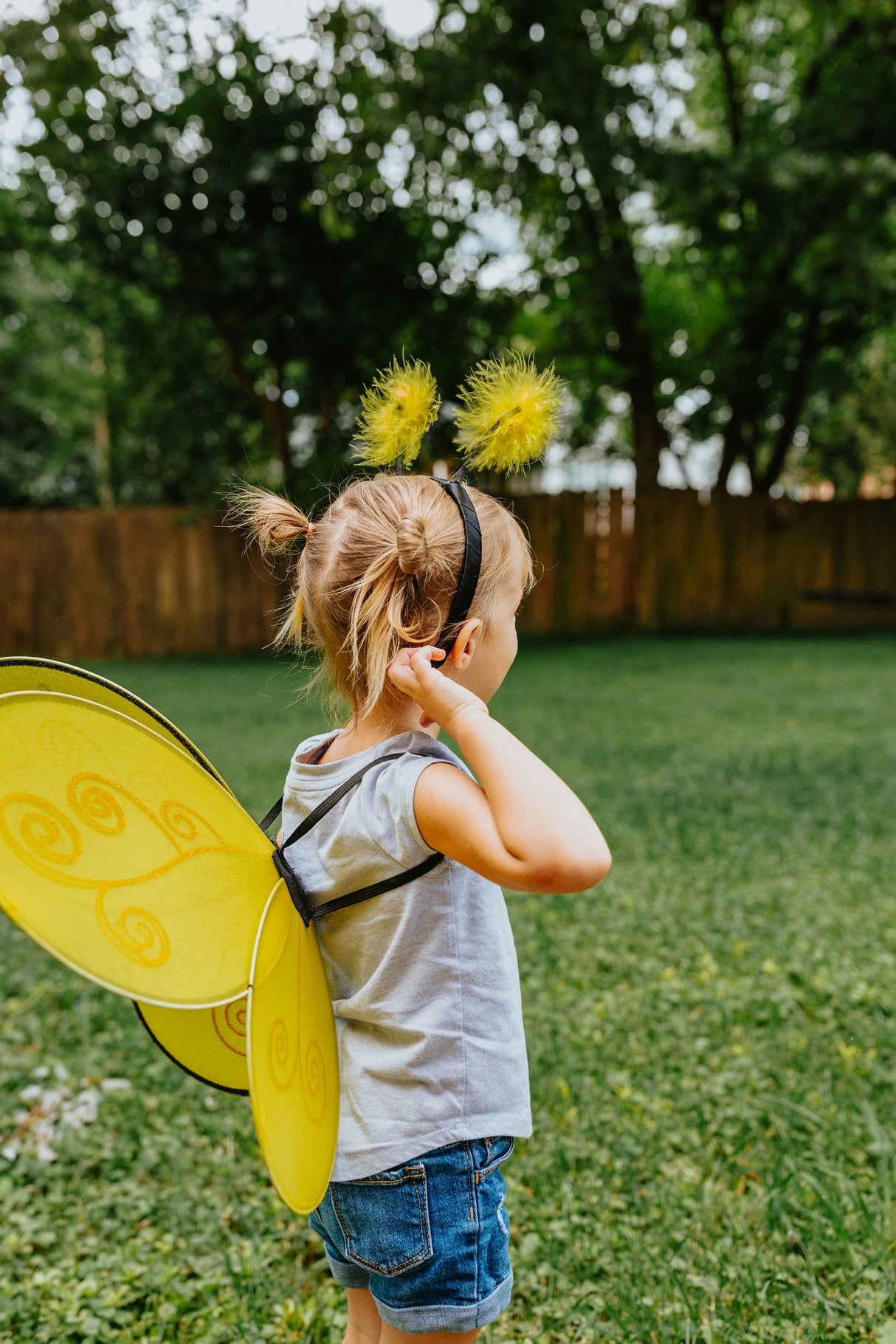 Bienenflügel & Haarreif