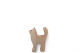 Katze Baby