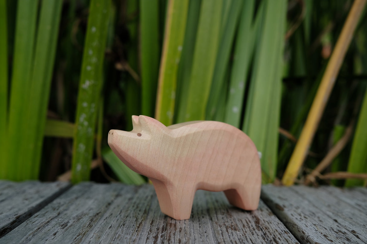 Schwein