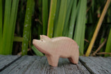 Schwein