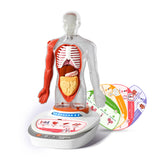 Mein Körper - eine Wissensreise mit Quiz und Sound