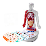 Mein Körper - eine Wissensreise mit Quiz und Sound