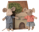 LouiMax und Stella/ kleine Geschwistermäuse