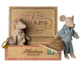 Mama & Papa Mäuse in Zigarrenkiste