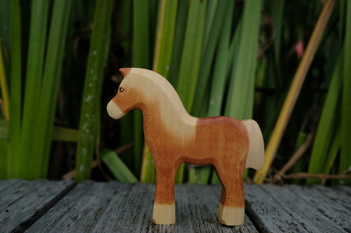 Haflinger Fohlen
