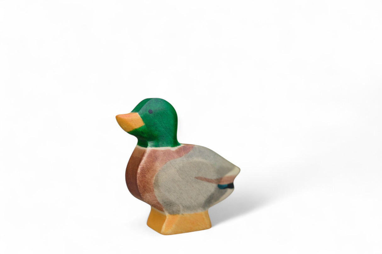 Erpel