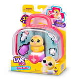 Chirpy Chick Ouchies S2 Mini