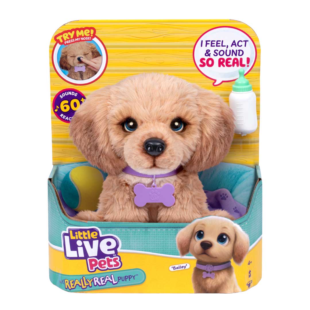 My Really Real Puppy Dachshund