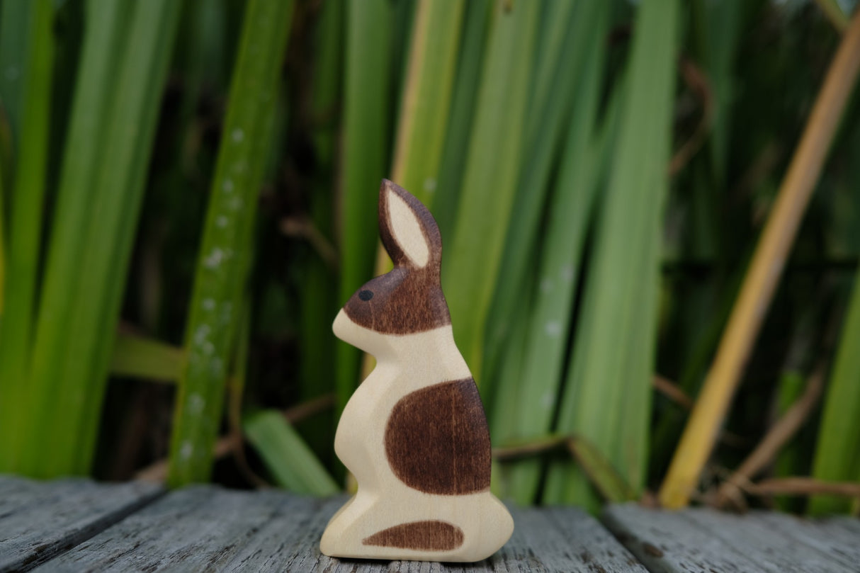 Hase Ohr hoch
