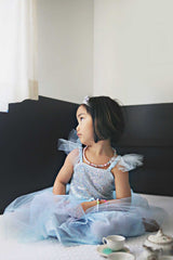 Blaues Paillettenkleid Prinzessin 3-4 Jahre