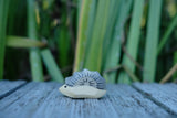 Igel klein