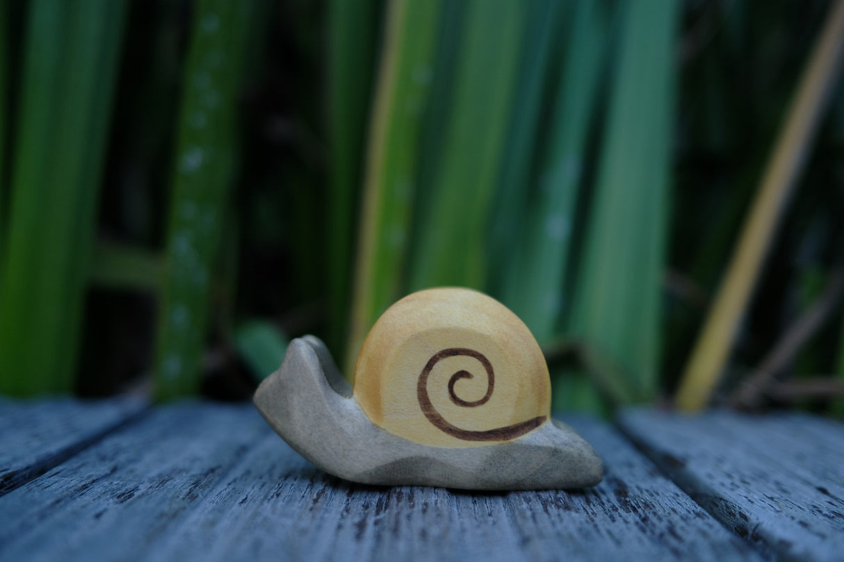 Schnecke