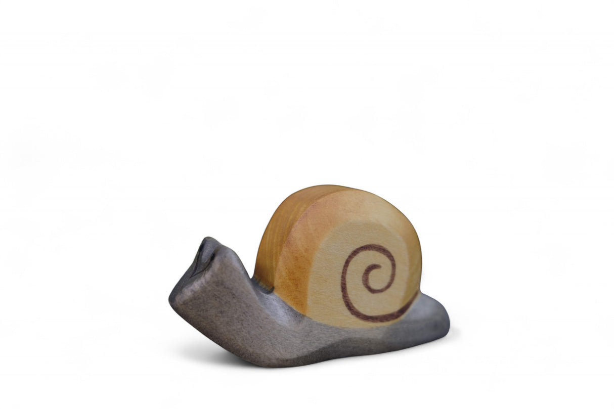 Schnecke