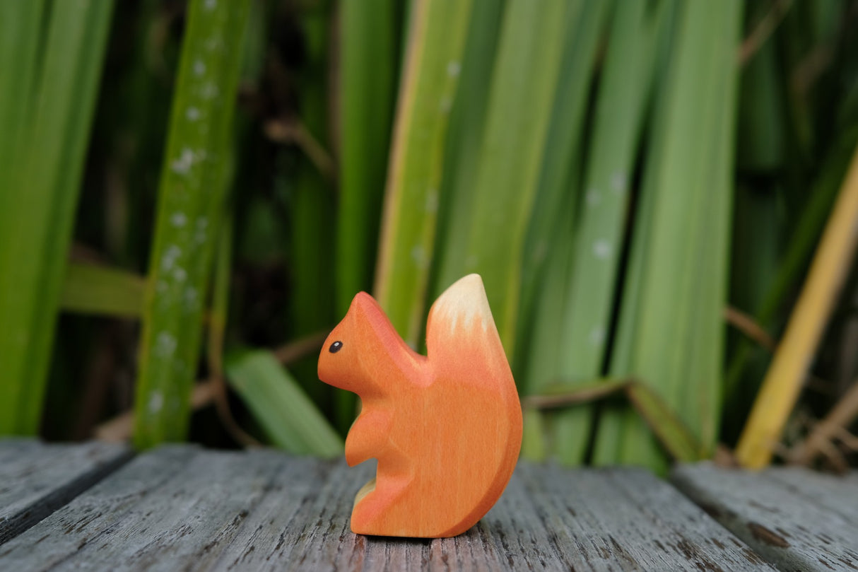Eichhörnchen klein