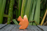 Eichhörnchen klein