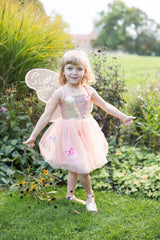 Schmetterlingskleid 5-6 Jahre