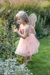 Schmetterlingskleid 5-6 Jahre