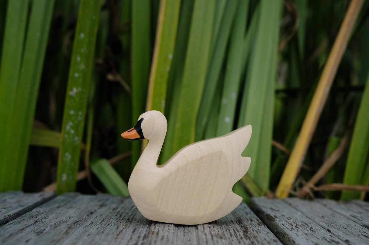 Schwan