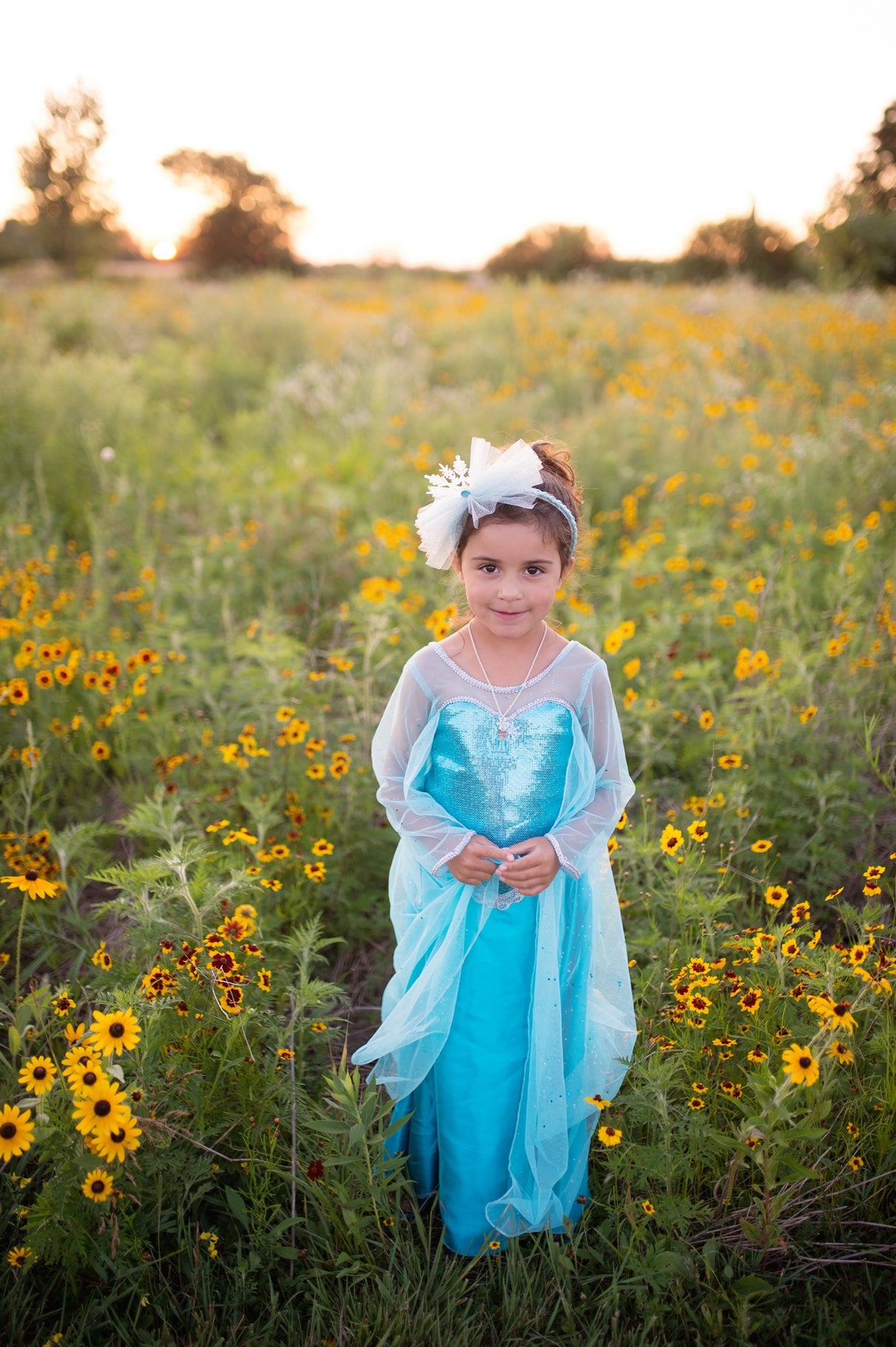 Kleid Kristallkönigin 3-4 JahreGreat PretendersKleid Kristallkönigin 3-4 Jahrekorbmayer. ganz besonders. für kinder.