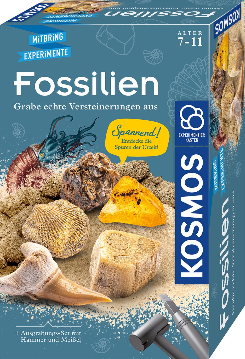 Mitbringexp. Fossilien