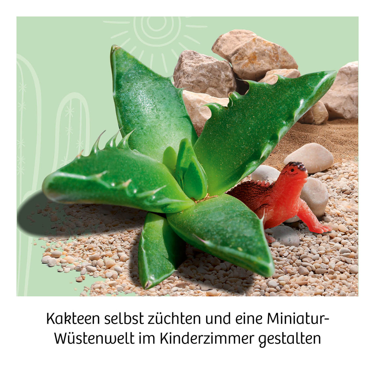 Kakteen-Wüste - korbmayer. ganz besonders. für kinder.