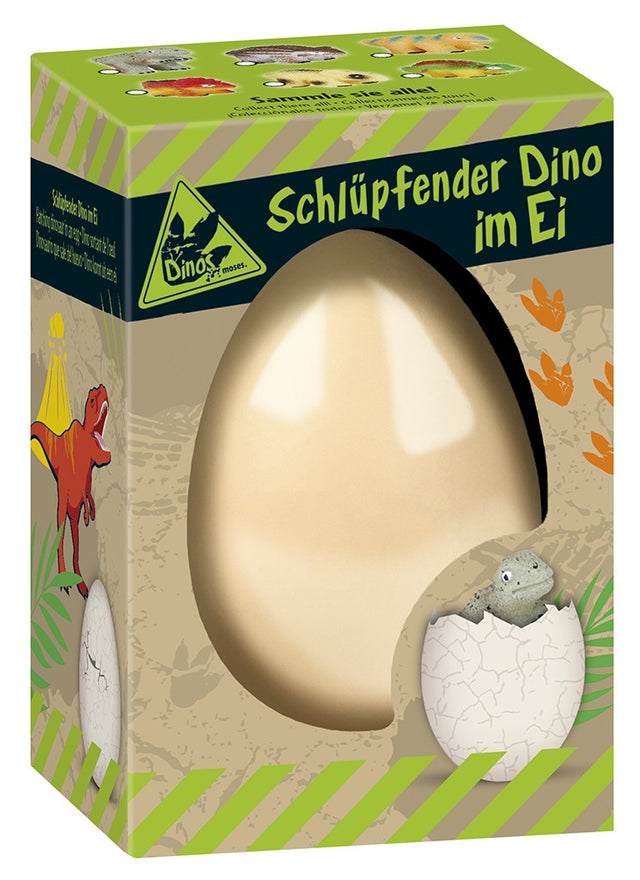 Schlüpfende Dinos im Ei - korbmayer. ganz besonders. für kinder.