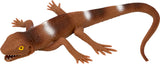 Wabbel-Eidechse (1 Stück)