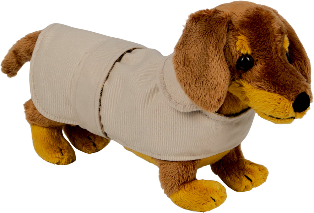 Dackel Watson mit Mantel