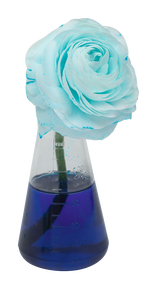 PhänoMINT Farblabor