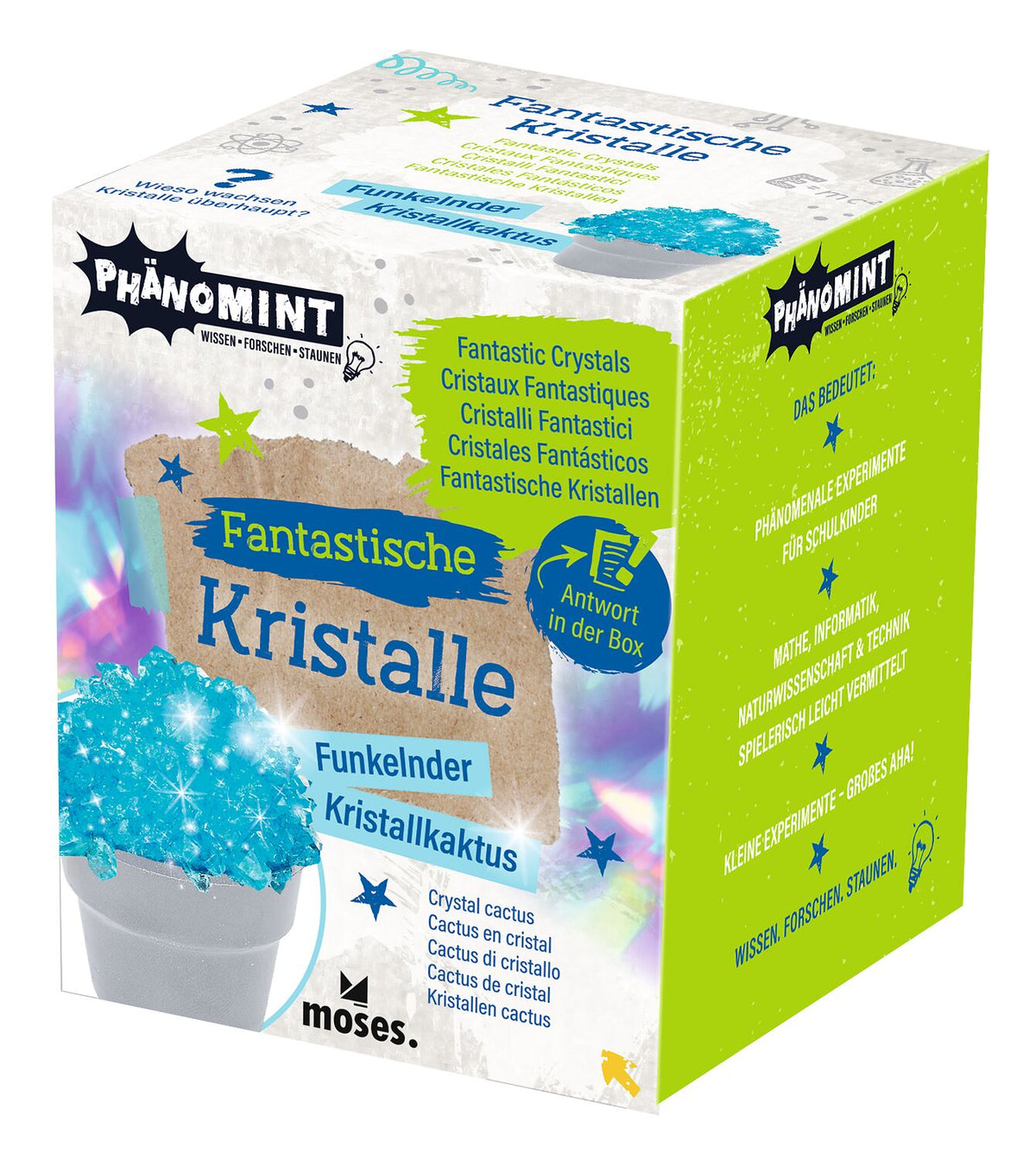 PhänoMINT Fantastische Kristalle (1Stück)