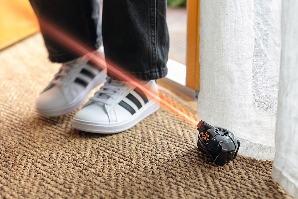 Top Secret - Bewegungsalarm