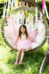 Schmetterlingsrock & Flügel 4-6 Jahre