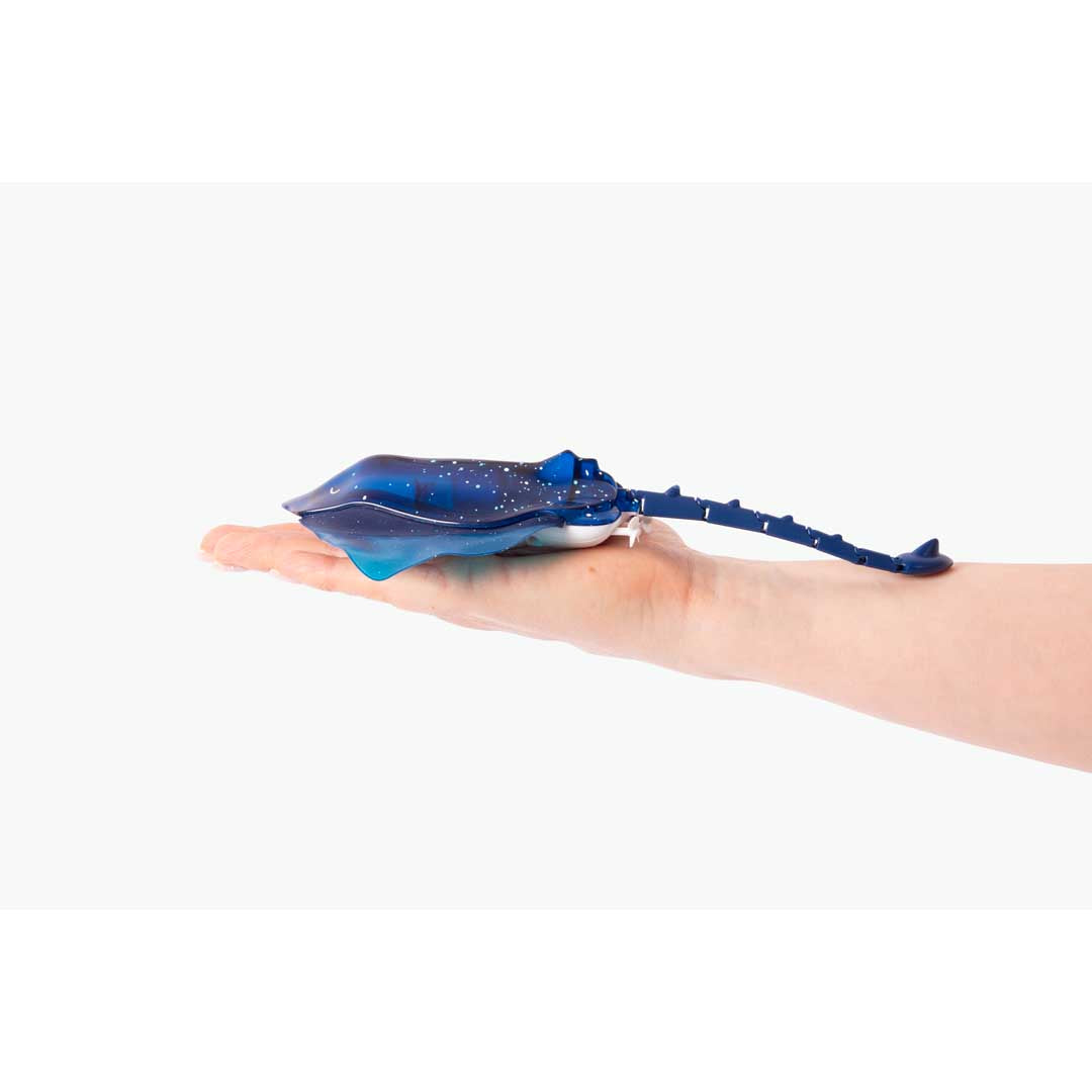 RC: Manta Rochen