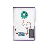 Franzis: Checker Tobi CheXperiment Fledermaus-Check