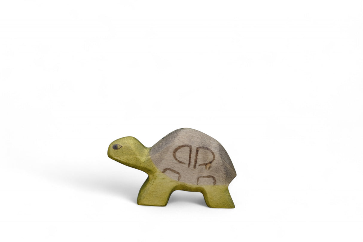 Schildkröte