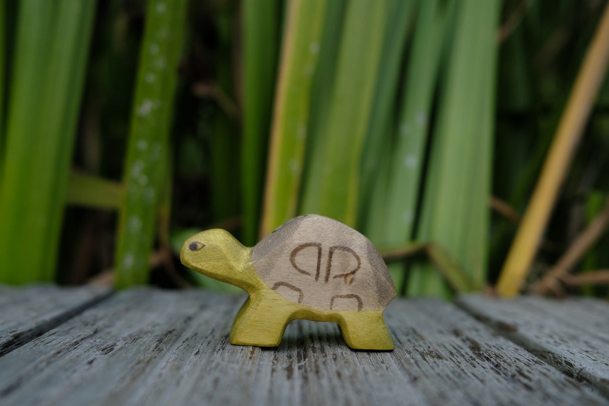 Schildkröte klein