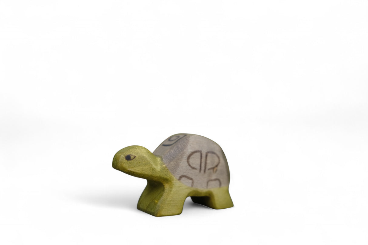 Schildkröte