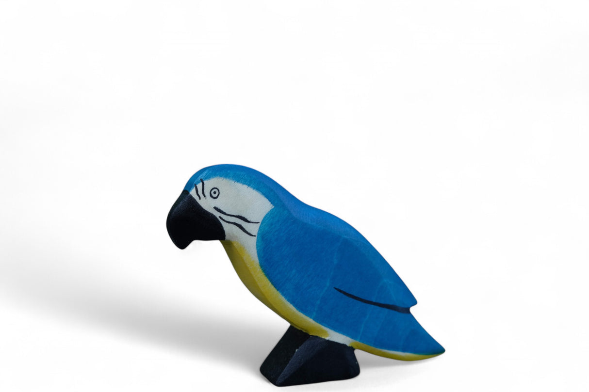 Papagei blau